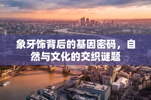 象牙饰背后的基因密码，自然与文化的交织谜题