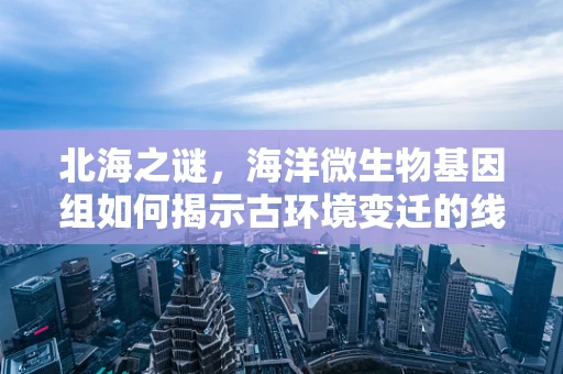 北海之谜，海洋微生物基因组如何揭示古环境变迁的线索？
