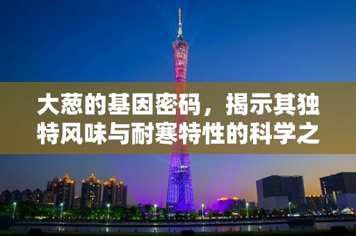 大葱的基因密码，揭示其独特风味与耐寒特性的科学之谜