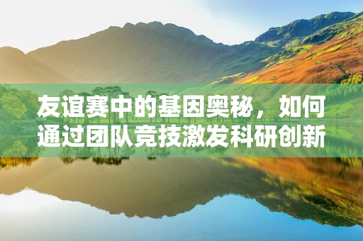 友谊赛中的基因奥秘，如何通过团队竞技激发科研创新？