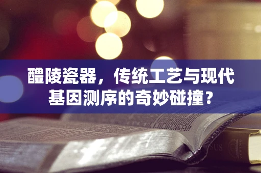 醴陵瓷器，传统工艺与现代基因测序的奇妙碰撞？