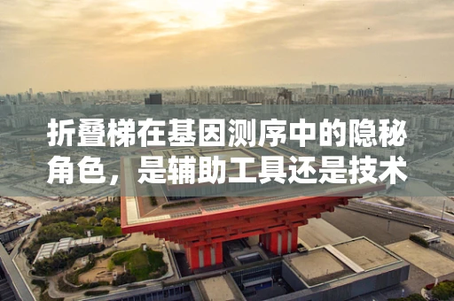 折叠梯在基因测序中的隐秘角色，是辅助工具还是技术革新？