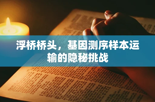 浮桥桥头，基因测序样本运输的隐秘挑战