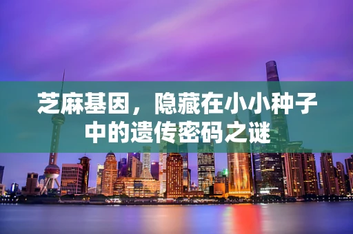 芝麻基因，隐藏在小小种子中的遗传密码之谜