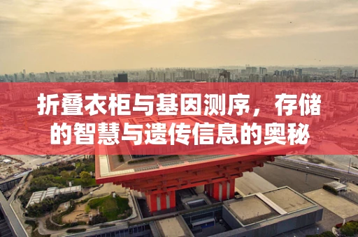 折叠衣柜与基因测序，存储的智慧与遗传信息的奥秘