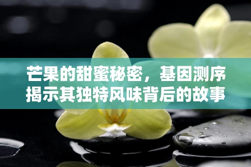 芒果的甜蜜秘密，基因测序揭示其独特风味背后的故事