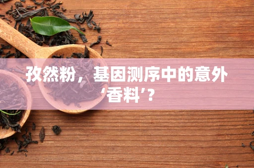 孜然粉，基因测序中的意外‘香料’？