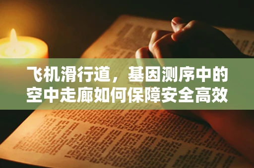 飞机滑行道，基因测序中的空中走廊如何保障安全高效？