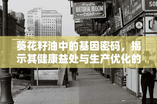 葵花籽油中的基因密码，揭示其健康益处与生产优化的秘密