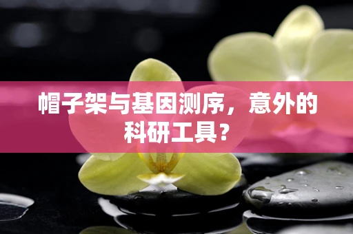 帽子架与基因测序，意外的科研工具？