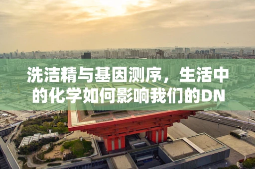 洗洁精与基因测序，生活中的化学如何影响我们的DNA？