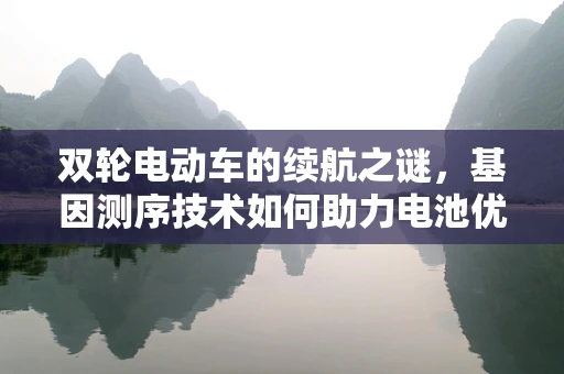 双轮电动车的续航之谜，基因测序技术如何助力电池优化？