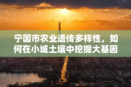 宁国市农业遗传多样性，如何在小城土壤中挖掘大基因宝藏？