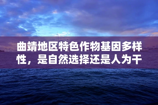 曲靖地区特色作物基因多样性，是自然选择还是人为干预的杰作？