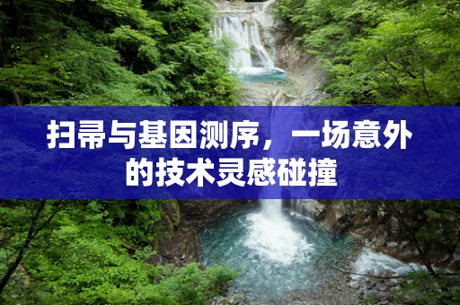 扫帚与基因测序，一场意外的技术灵感碰撞
