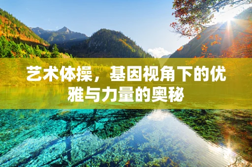 艺术体操，基因视角下的优雅与力量的奥秘